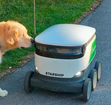a dog sniffing a delivery robot
