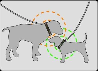 drawing of two dogs sniffing each other's noses, with wireless signals from their collars